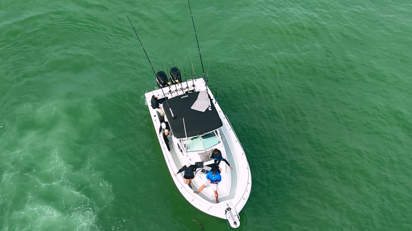 Pro-Line 30ft aerial view showing dual engines