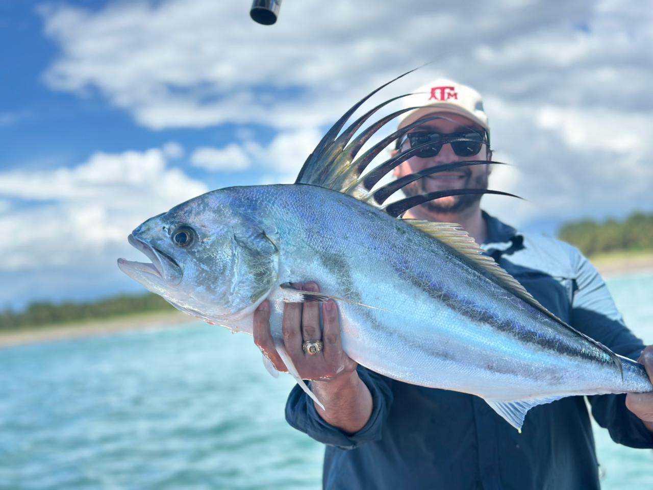 Roosterfish