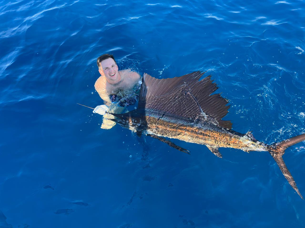 Sailfish